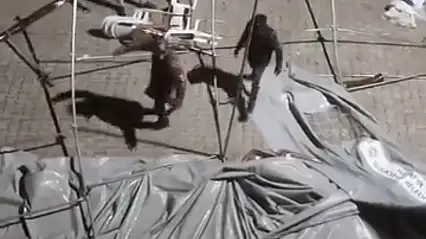 Doğanşehir'de Fırtına Taziye Çadırını Uçurdu