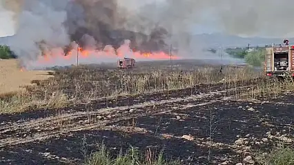 Malatya'da 41 noktada yangın çıktı