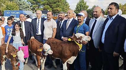 Malatya'da 'En Güzel Buzağı' yarışması düzenlendi