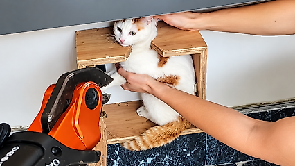 Malatya'da Sıra Dışı Kurtarma! Posta Kutusuna Sıkışan Kedi Kurtarıldı