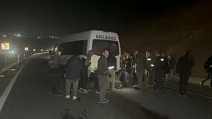 Sultan Suyu'ndan Kaçan Taylar Karayoluna Çıktı: 8 Tay Telef Oldu