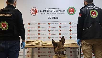 Kapıkule'de Tırdan 50 Kilo 506 Gram Uyuşturucu Çıktı