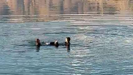 Malatya'da barajda erkek cesedi bulundu