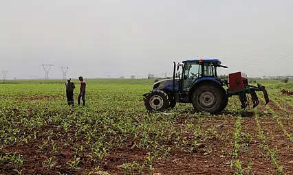 2026 Üretim Yılı İçin Çiftçilere Kritik Tarih: 1 Eylül – 31 Aralık
