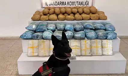 63 İlde Uyuşturucu Operasyonu: 1,3 Ton Madde Ele Geçirildi