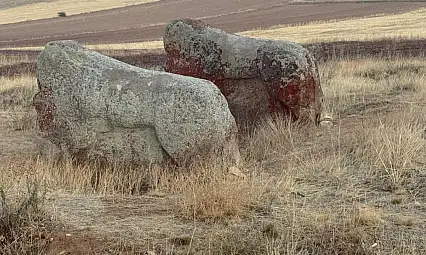 Aslantaşlar Yerinde Kalıyor