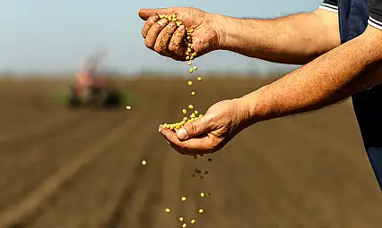 Bakan Yumaklı: Tarımsal hasılada 7 ülke arasına girdik