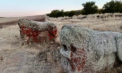 Bozkurt'tan Aslantaş Kararına Tepki