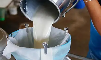 Çiğ Sütte Yeni Tavsiye Fiyatı Açıklandı: Litre 22,22 TL