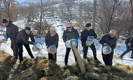 Doğanşehir'de Yaban Hayatı İçin Kış Seferberliği