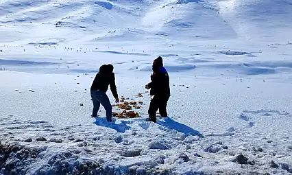 Doğanşehir'de Yaban Hayvanları İçin Kış Seferberliği