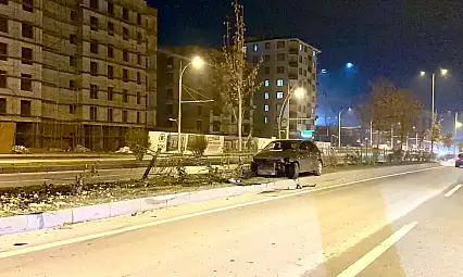 Köpeğe Çarpan Otomobil Kontrolden Çıkıp Refüje Çarptı