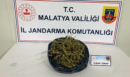 Malatya'da Jandarmadan Uyuşturucu Operasyonu: 1,5 Kilo Esrar Ele Geçirildi