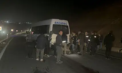 Sultan Suyu'ndan Kaçan Taylar Karayoluna Çıktı: 8 Tay Telef Oldu