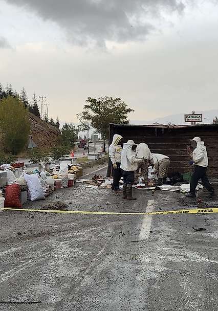 Malatya'da Arı Yüklü Kamyon Devrildi: 3 Yaralı