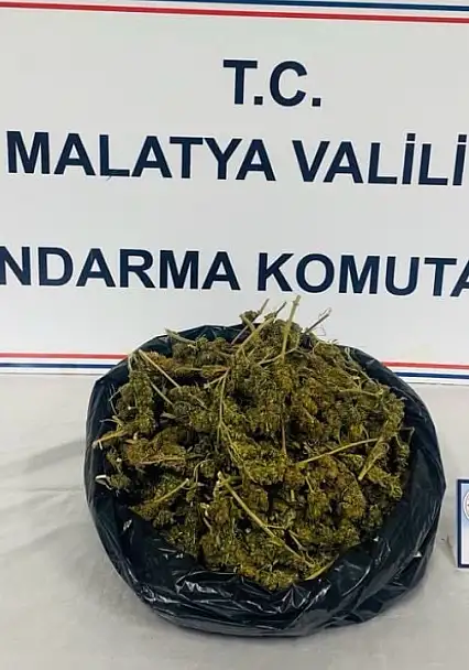 Malatya'da Jandarmadan Uyuşturucu Operasyonu: 1,5 Kilo Esrar Ele Geçirildi