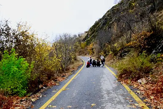 Arapgir'de Sonbahar Büyüsü: FotoKültür Ekibi Renklerin Peşinde