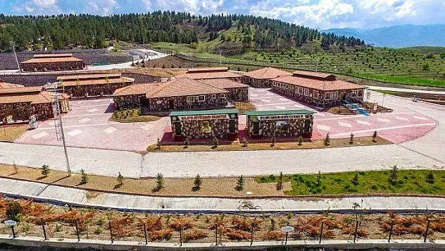 1.125 Sokak Hayvanının Bakımı Yapıldı