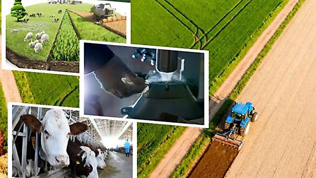 1,35 Milyar Liralık Tarımsal Destek Çiftçilerin Hesaplarına Aktarılıyor