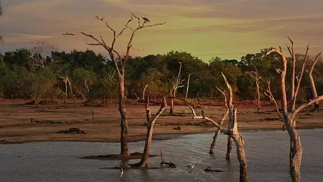 1 yılda 17 milyon insan 'iklim göçü'nden etkilendi