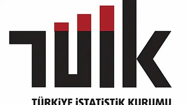 2025'in İkinci Çeyreğinde İnşaat Hacmi Patladı: Yapı Ruhsatı Yüzölçümü yüzde 61,8 Arttı