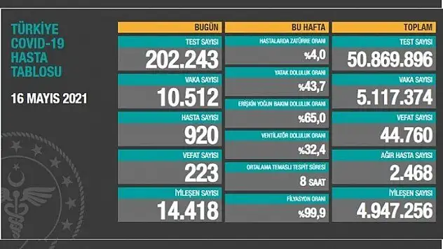 223 kişi hayatını kaybetti.