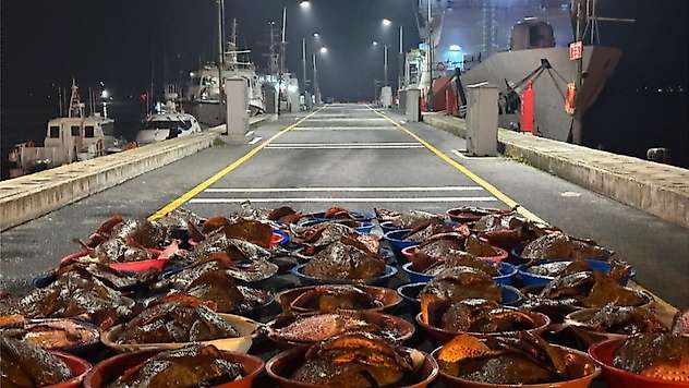 44 ton su ürünü ele geçirildi