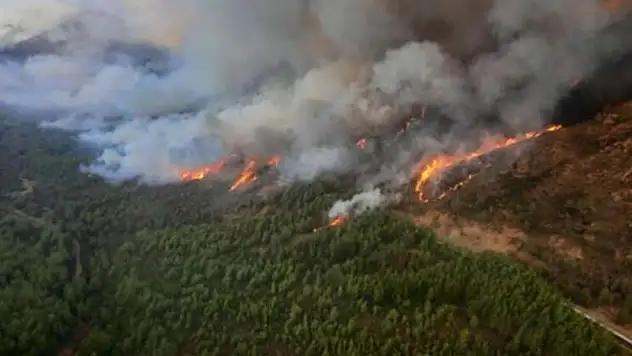 6 ilde orman yangınlarıyla yoğun mücadele devam ediyor