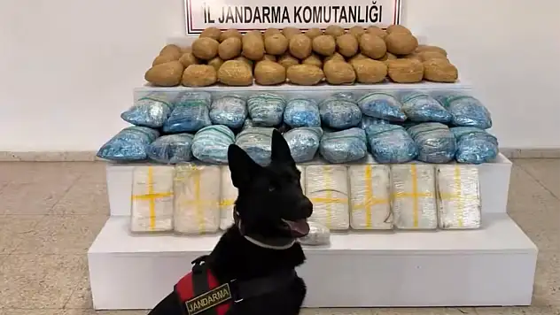 63 İlde Uyuşturucu Operasyonu: 1,3 Ton Madde Ele Geçirildi