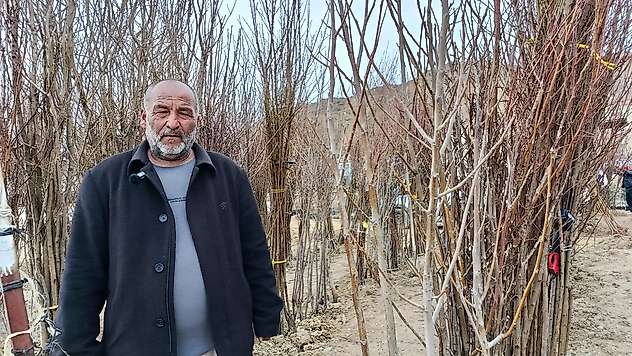 Afetlere Rağmen Kayısıdan Vazgeçilmiyor