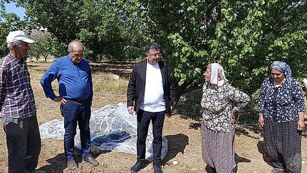 Ağbaba Kocaözü'nde: Yaklaşık 200 Tonluk Zarar Var
