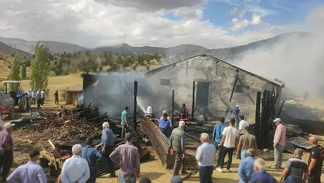Ahır Yangını: 10 Büyükbaş Hayvan Telef Oldu