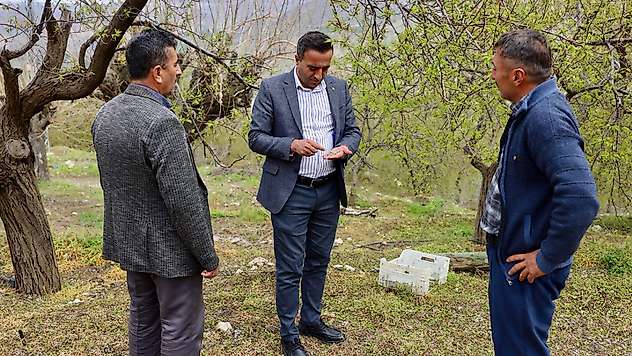 Akçadağ'da Dolu Vurdu: Belediye Başkanı Ulutaş'tan Kayısı Bahçelerinde İnceleme