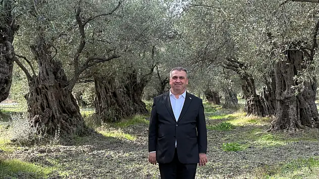 Akhisar, Tütünden Zeytine Uzanan Başarı Hikâyesi ve Lezzet Festivaliyle Gündemde