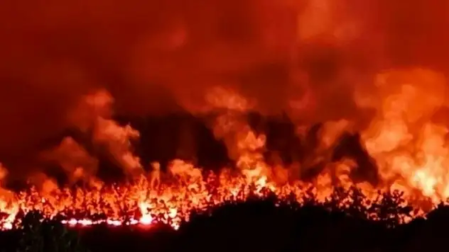 Alevlerin arasında kalan 11 orman işçisi hayatını kaybetti