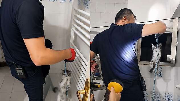 Apartman Boşluğuna Düşen Yavru Kedi İtfaiye Ekiplerince Kurtarıldı