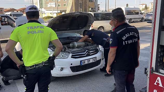 Araçtan Gelen Miyavlama Seferberlik Başlattı