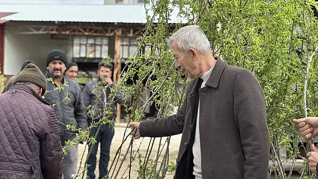 Arapgir'de Badem Fidanı Dağıtımı Başladı