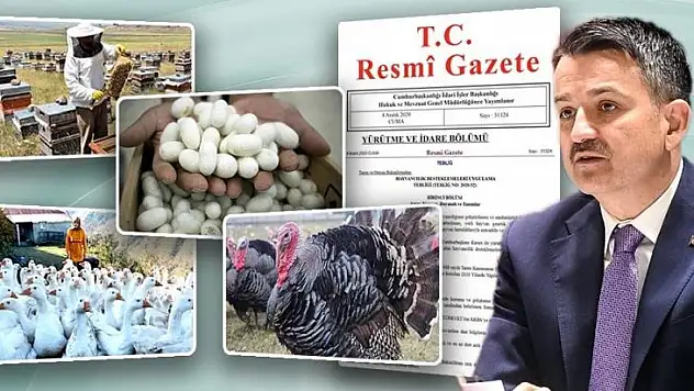 Arıcılık, İpekböcekçiliği, Kaz ve Hindi Yetiştiriciliği projelerine hibe desteği