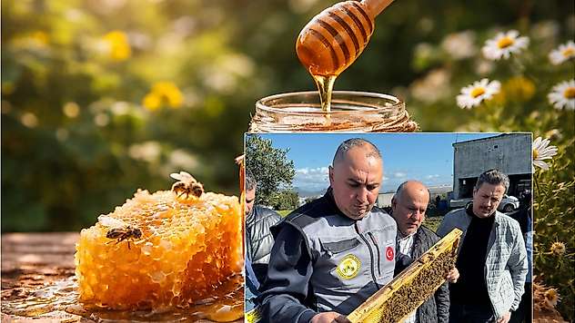 Arıcılıkta İl Bazlı Güç Haritası Açıklandı: Üretimde Yeni Dönem Mesajı