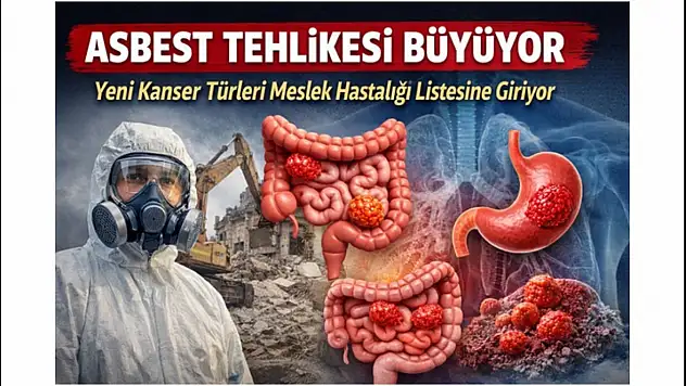 Asbest Sadece Akciğeri Değil, Tüm Vücudu Tehdit Ediyor