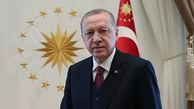Başkan Erdoğan: Kendi ülkelerine karşı adeta savaş açtılar