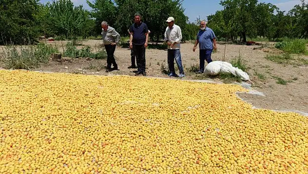 Başkan Kiraz: 'AKP, çiftçiyi kaderiyle baş başa bırakıyor'