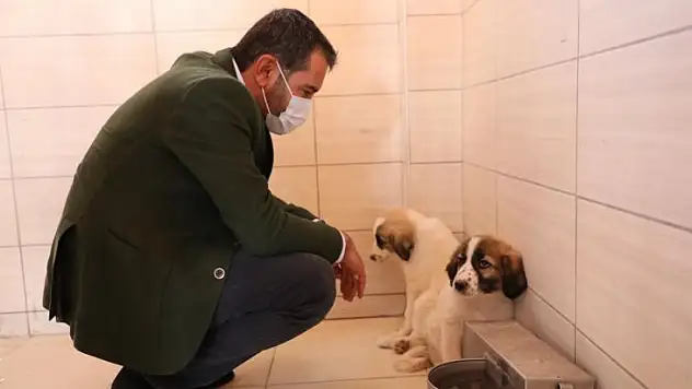 Başkan Şerifoğulları, Hayvan Hastanesi Ve Bakım Evi'ni Ziyaret Etti