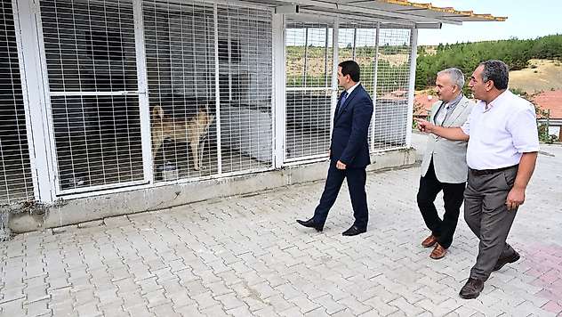 Başkan Taşkın, Hayvan Barınağında İncelemelerde Bulundu
