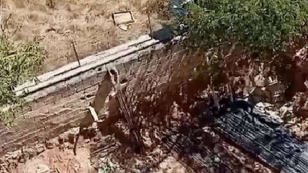 Battalgazi'de İnşaat Alanını Arı Sürüsü Bastı