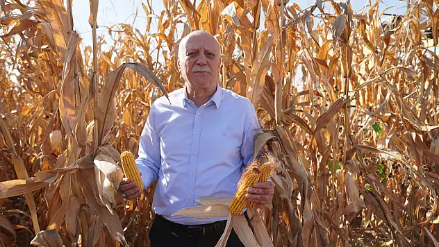 Bayraktar, Dünya Gıda Günü'nde Konya'da mısır hasadına katıldı