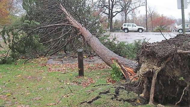 Bazı illerde sağanak, Güneydoğu'da kuvvetli rüzgâr bekleniyor