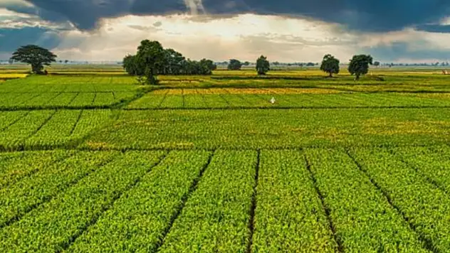 Bir milyar 46 milyon liralık tarımsal destek ödemeleri çiftçinin hesabına yatırılacak