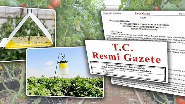 Bitkisel Üretimde Biyolojik Ve Biyoteknik Mücadele Yapan Çiftçiye 520 Tl Destek Ödemesi Yapılacak